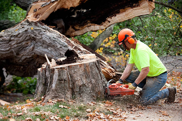 Mulching Services in Kings Point, NY